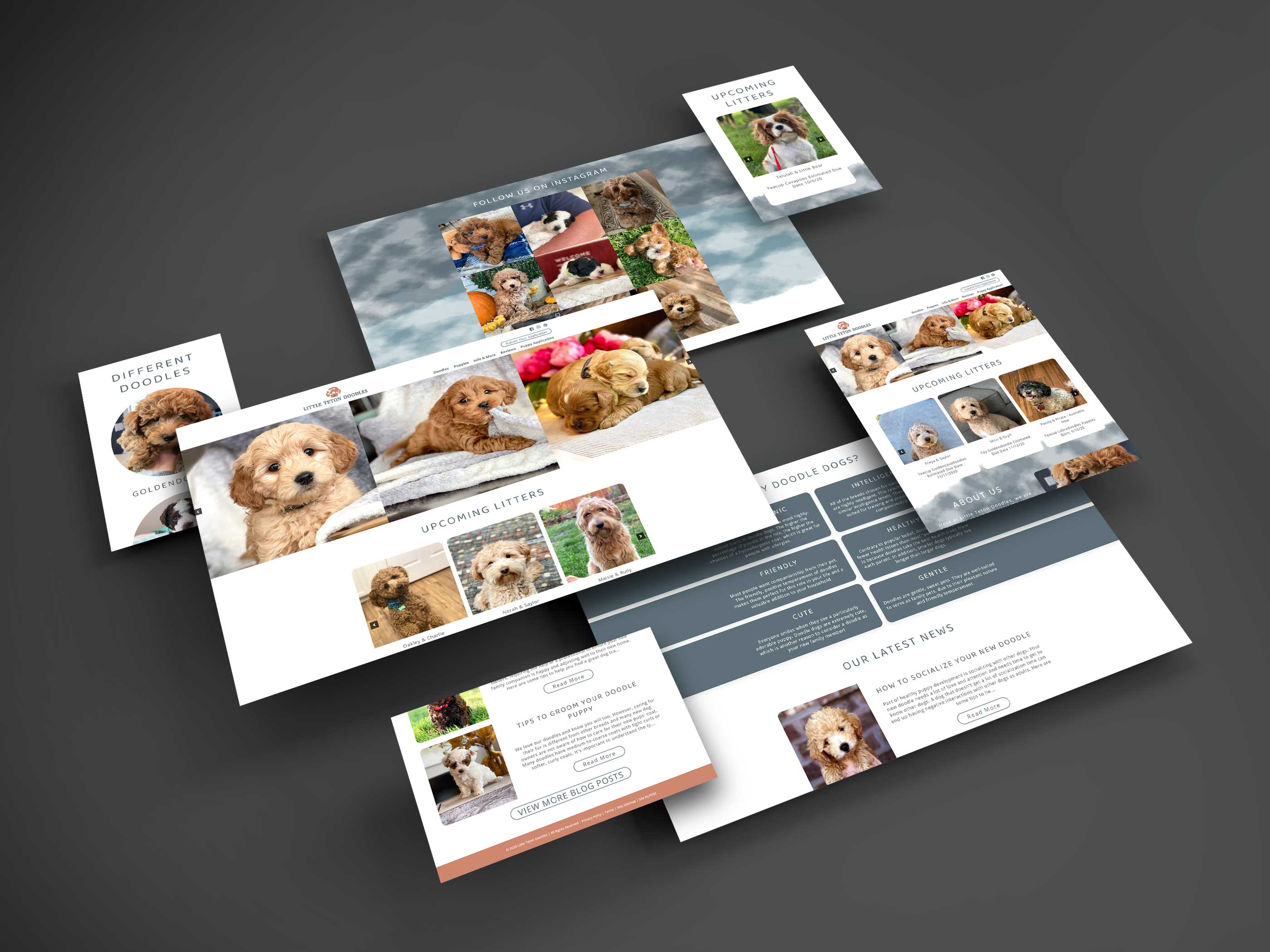 Screenshots of Little Teton Doodles website